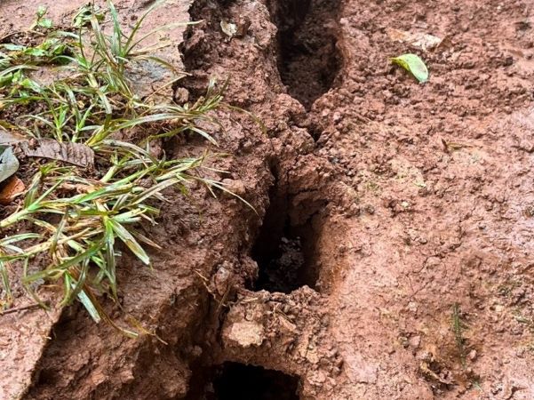 Ảnh bìa bài viết 891628