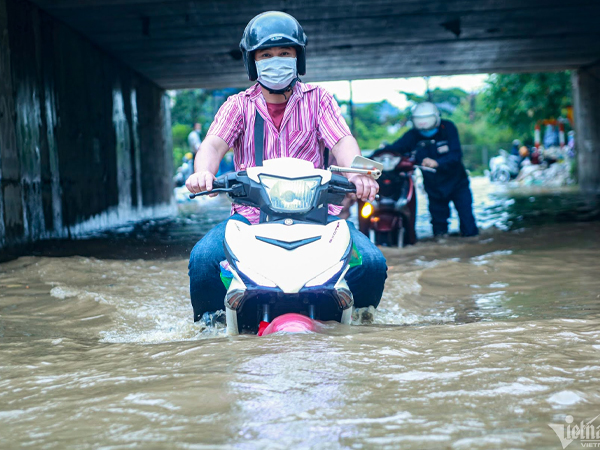 Ảnh bìa bài viết 891919
