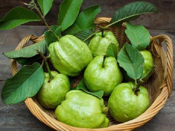 Ảnh bìa bài viết 893137