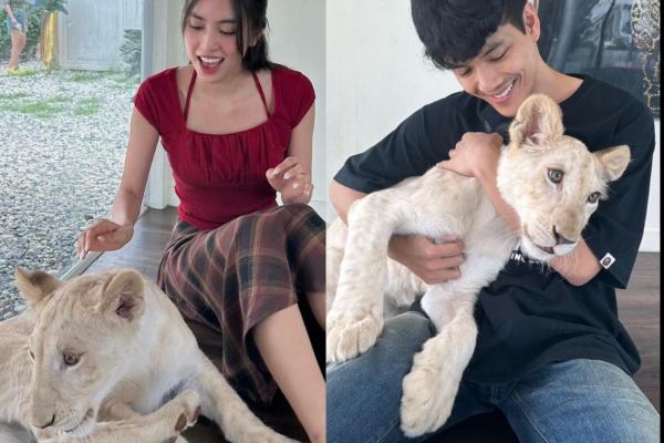 Ảnh bìa bài viết 893513