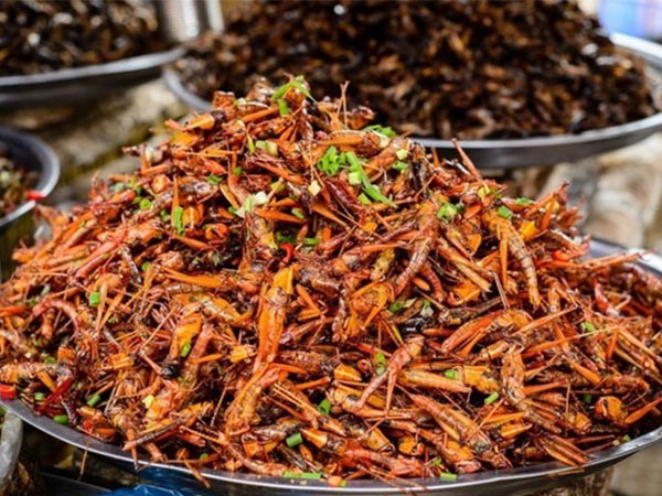 Ảnh bìa bài viết 893612