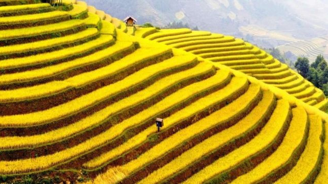 Ảnh bìa bài viết 893800