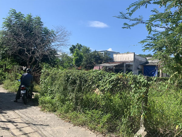 Ảnh bìa bài viết 893985