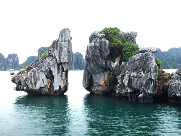 Ảnh bìa bài viết 894179