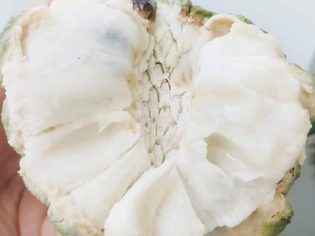 Ảnh bìa bài viết 894338