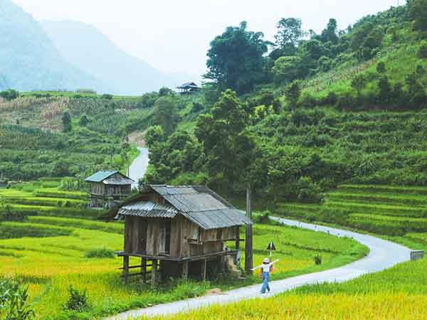 Ảnh bìa bài viết 894898