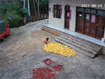 Ảnh bìa bài viết 895378