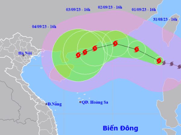 Ảnh bìa bài viết 895949