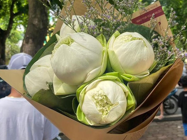 Ảnh bìa bài viết 895843