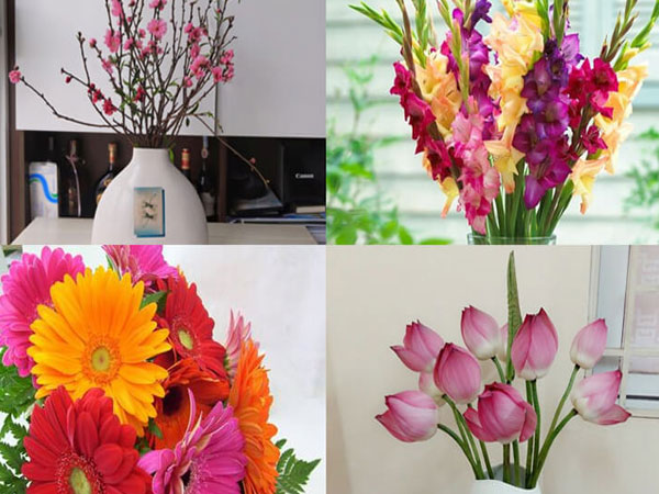 Ảnh bìa bài viết 898269