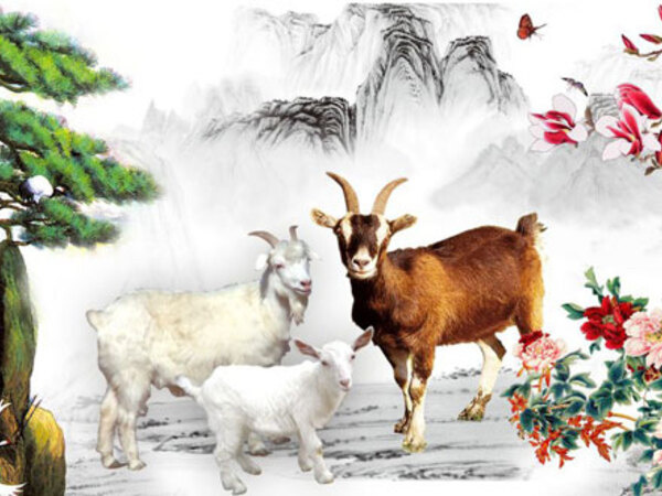 Ảnh bìa bài viết 898581