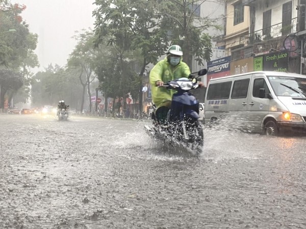 Ảnh bìa bài viết 898619