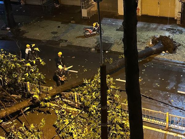 Ảnh bìa bài viết 899107