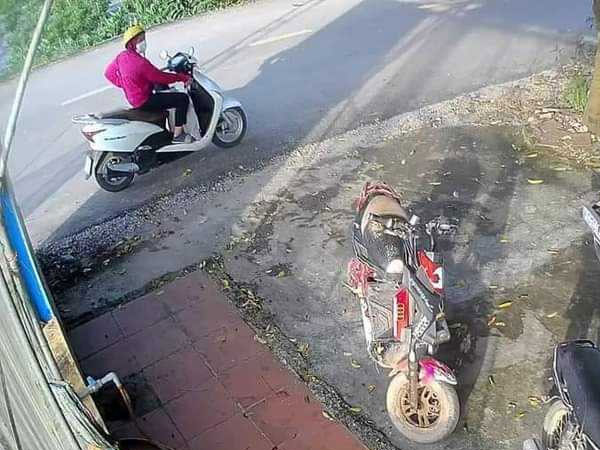 Ảnh bìa bài viết 899484