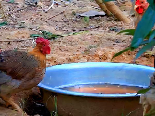 Ảnh bìa bài viết 899796
