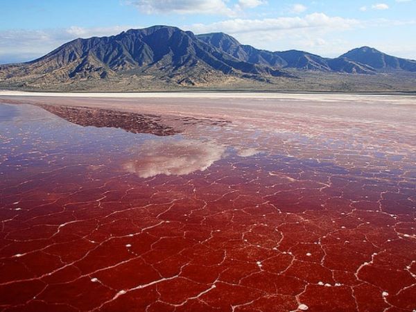 Ảnh bìa bài viết 900370