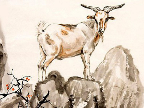 Ảnh bìa bài viết 902079