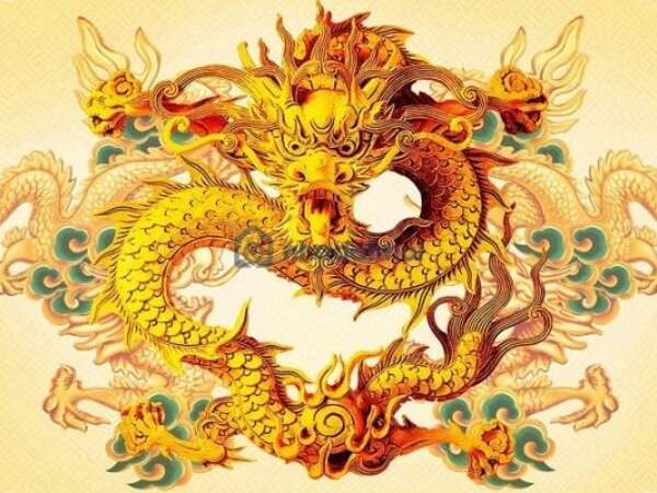 Ảnh bìa bài viết 902668