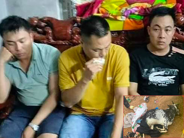 Ảnh bìa bài viết 902681