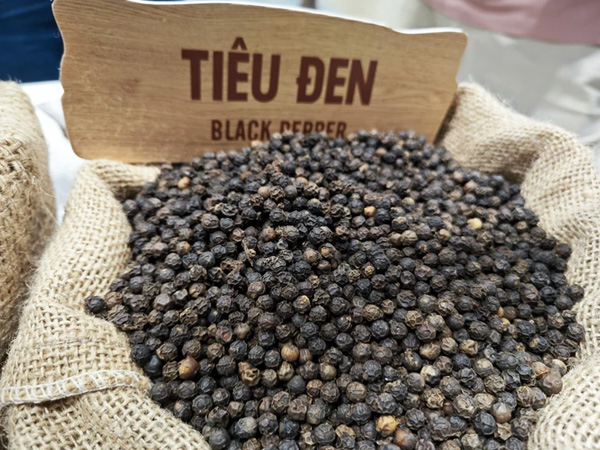 Ảnh bìa bài viết 902871