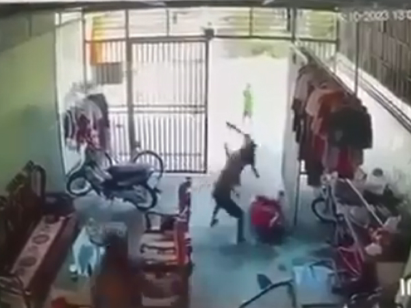 Ảnh bìa bài viết 903719