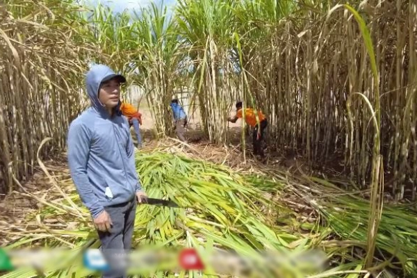 Ảnh bìa bài viết 904259