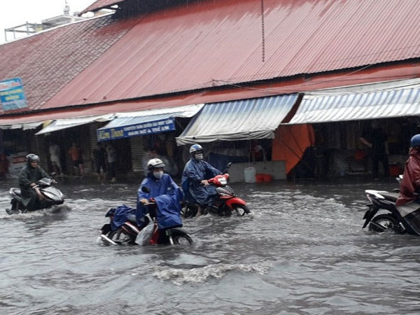Ảnh bìa bài viết 904477