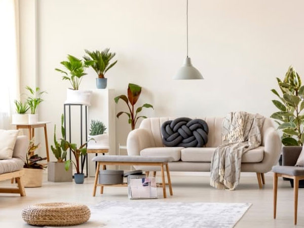 Ảnh bìa bài viết 904672