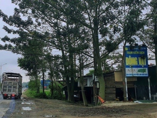 Ảnh bìa bài viết 904697