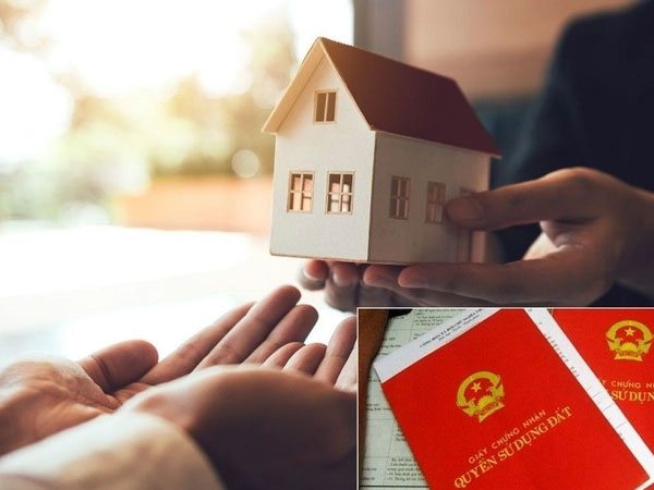 Ảnh bìa bài viết 905037