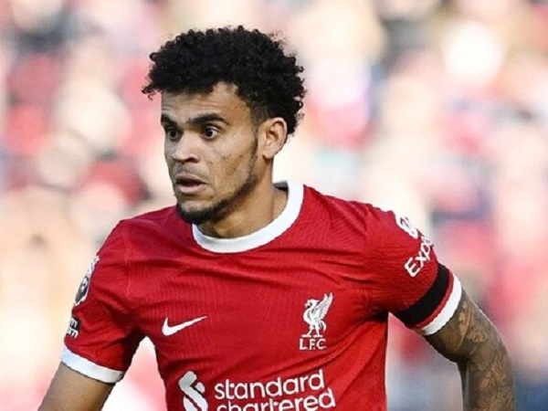 Ảnh bìa bài viết 905320