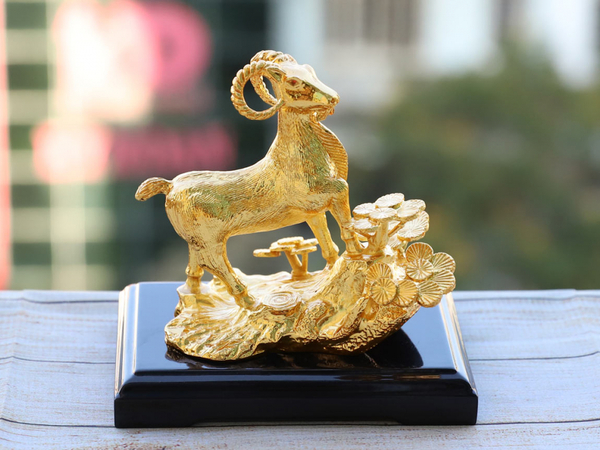 Ảnh bìa bài viết 905914