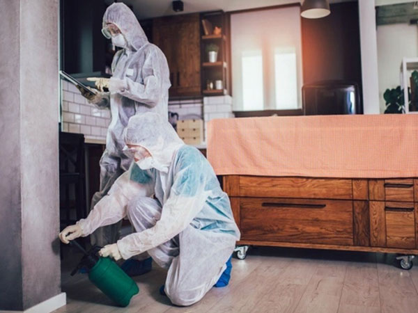 Ảnh bìa bài viết 906226