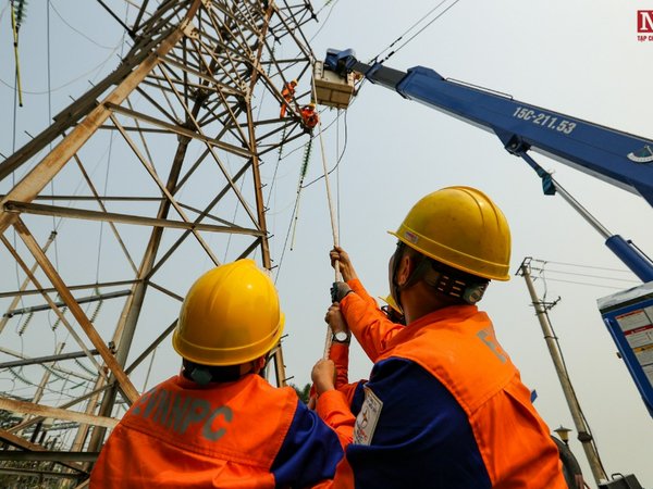 Ảnh bìa bài viết 907361