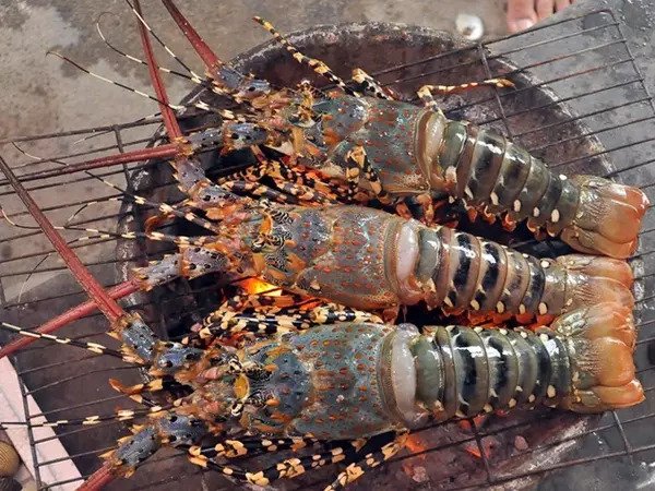 Ảnh bìa bài viết 907825