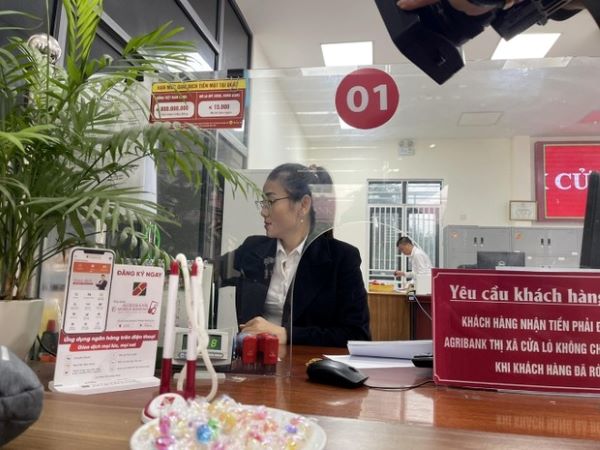 Ảnh bìa bài viết 908059