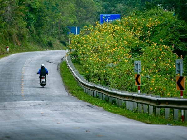 Ảnh bìa bài viết 908889