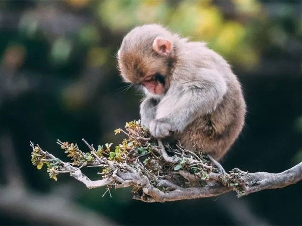 Ảnh bìa bài viết 910633