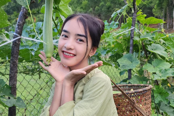 Ảnh bìa bài viết 911108