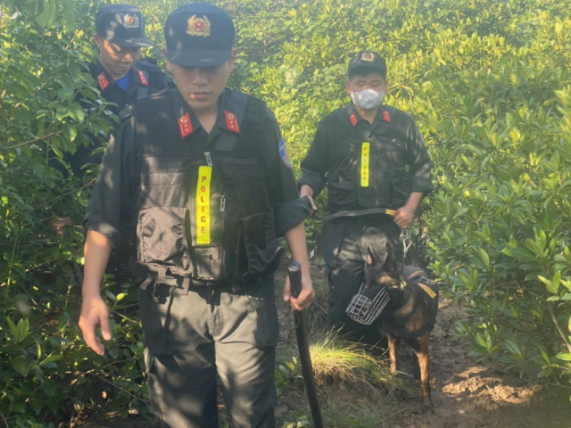 Ảnh bìa bài viết 911653