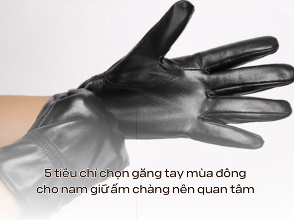 Ảnh bìa bài viết 911753