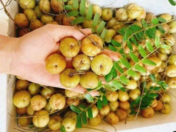 Ảnh bìa bài viết 911699