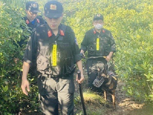 Ảnh bìa bài viết 911718