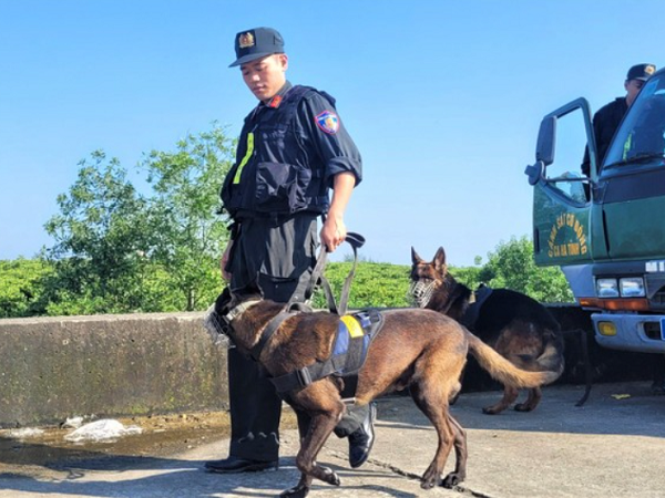 Ảnh bìa bài viết 911720