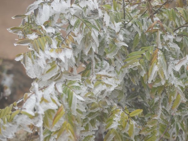 Ảnh bìa bài viết 912052