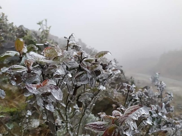 Ảnh bìa bài viết 912996