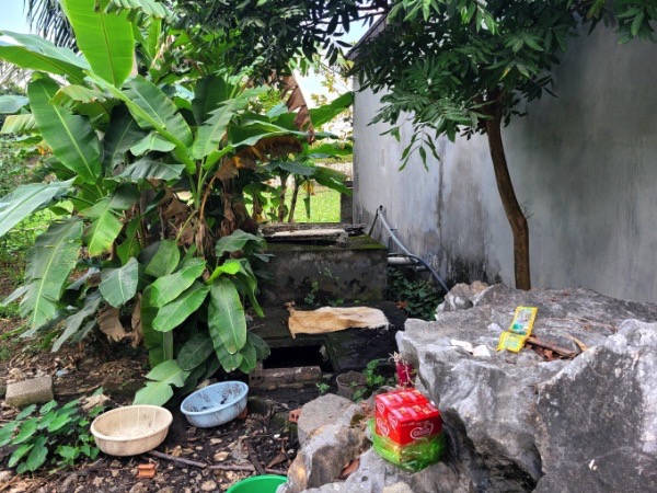 Ảnh bìa bài viết 913268