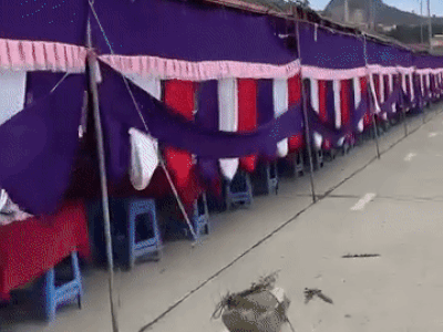 Ảnh bìa bài viết 914195