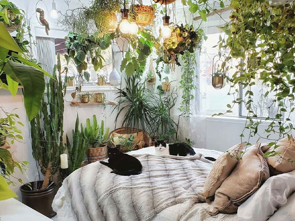 Ảnh bìa bài viết 914424