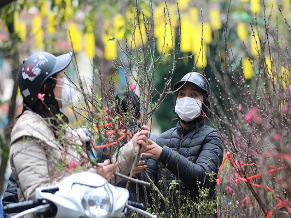 Ảnh bìa bài viết 914381